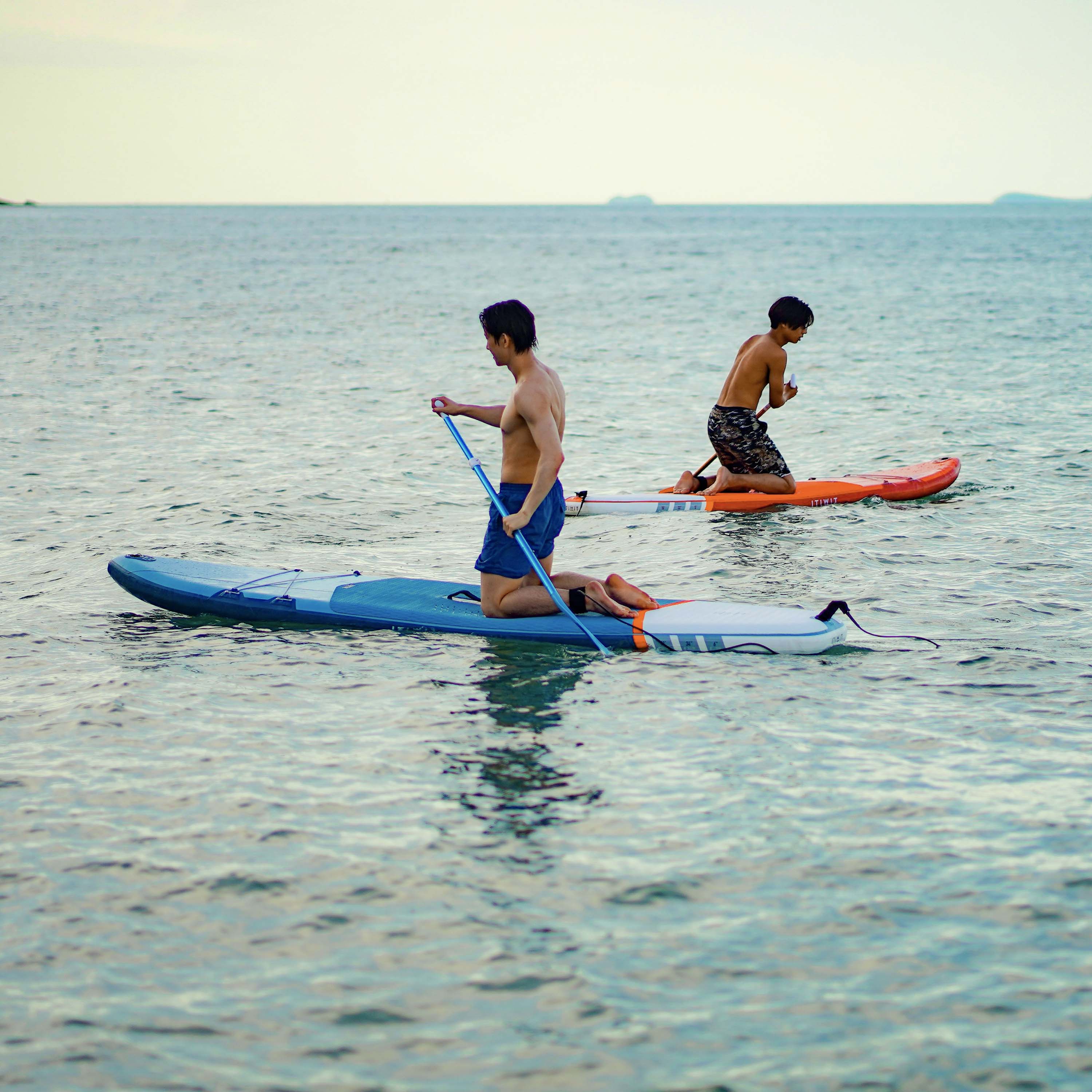 Paddle Board
